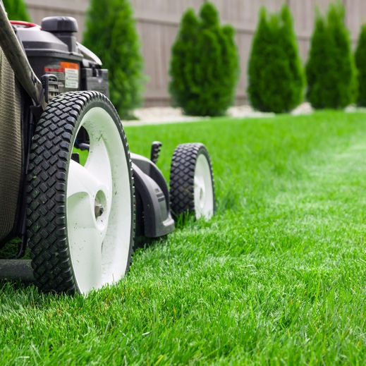 40449028 - lawn mower