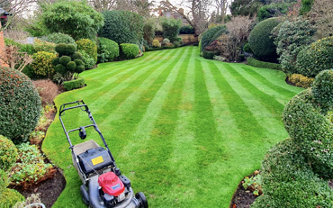 Lawn mowing service in Wokingham
